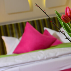 Privat- und Kettenhotels